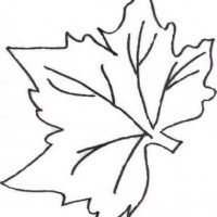 okul öncesınde sağlık haftası ,kağit işleri maske hayvanlar engelliler haftasi ,meyveler ,meslekler sayılar (3119)