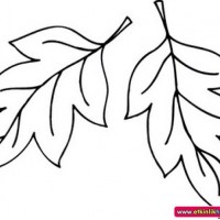 okul öncesınde sağlık haftası ,kağit işleri maske hayvanlar engelliler haftasi ,meyveler ,meslekler sayılar (3120)