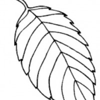 okul öncesınde sağlık haftası ,kağit işleri maske hayvanlar engelliler haftasi ,meyveler ,meslekler sayılar (3122)