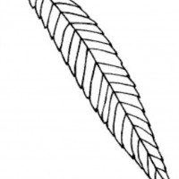 okul öncesınde sağlık haftası ,kağit işleri maske hayvanlar engelliler haftasi ,meyveler ,meslekler sayılar (3123)