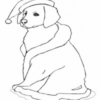 okul öncesınde sağlık haftası ,kağit işleri maske hayvanlar engelliler haftasi ,meyveler ,meslekler sayılar (3156)