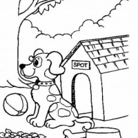 okul öncesınde sağlık haftası ,kağit işleri maske hayvanlar engelliler haftasi ,meyveler ,meslekler sayılar (3157)