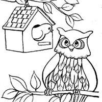 okul öncesınde sağlık haftası ,kağit işleri maske hayvanlar engelliler haftasi ,meyveler ,meslekler sayılar (3158)