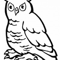 okul öncesınde sağlık haftası ,kağit işleri maske hayvanlar engelliler haftasi ,meyveler ,meslekler sayılar (3159)