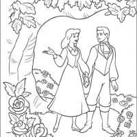 okul öncesınde sağlık haftası ,kağit işleri maske hayvanlar engelliler haftasi ,meyveler ,meslekler sayılar (3160)