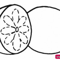 okul öncesınde sağlık haftası ,kağit işleri maske hayvanlar engelliler haftasi ,meyveler ,meslekler sayılar (3162)