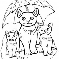 okul öncesınde sağlık haftası ,kağit işleri maske hayvanlar engelliler haftasi ,meyveler ,meslekler sayılar (3170)