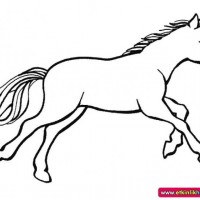 okul öncesınde sağlık haftası ,kağit işleri maske hayvanlar engelliler haftasi ,meyveler ,meslekler sayılar (3171)