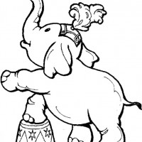 okul öncesınde sağlık haftası ,kağit işleri maske hayvanlar engelliler haftasi ,meyveler ,meslekler sayılar (3172)