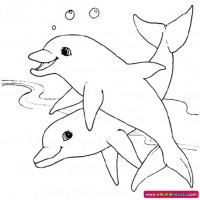 okul öncesınde sağlık haftası ,kağit işleri maske hayvanlar engelliler haftasi ,meyveler ,meslekler sayılar (3173)