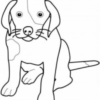 okul öncesınde sağlık haftası ,kağit işleri maske hayvanlar engelliler haftasi ,meyveler ,meslekler sayılar (3175)