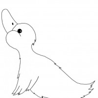 okul öncesınde sağlık haftası ,kağit işleri maske hayvanlar engelliler haftasi ,meyveler ,meslekler sayılar (3177)