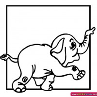 okul öncesınde sağlık haftası ,kağit işleri maske hayvanlar engelliler haftasi ,meyveler ,meslekler sayılar (3180)