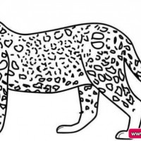 okul öncesınde sağlık haftası ,kağit işleri maske hayvanlar engelliler haftasi ,meyveler ,meslekler sayılar (3182)