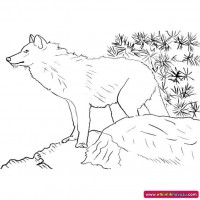 okul öncesınde sağlık haftası ,kağit işleri maske hayvanlar engelliler haftasi ,meyveler ,meslekler sayılar (3186)