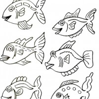 okul öncesınde sağlık haftası ,kağit işleri maske hayvanlar engelliler haftasi ,meyveler ,meslekler sayılar (3189)