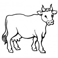 okul öncesınde sağlık haftası ,kağit işleri maske hayvanlar engelliler haftasi ,meyveler ,meslekler sayılar (3192)