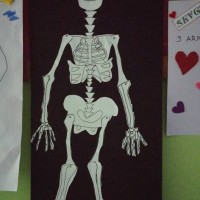 sanat etkınlığı ,boyama çalişması ,artık materyal (167)