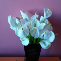 sanat etkınlığı ,boyama çalişması ,artık materyal (237)