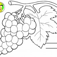 sanat etkınlığı ,boyama çalişması ,artık materyal (302)