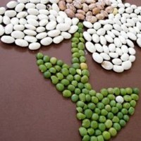 sanat etkınlığı ,boyama çalişması ,artık materyal (341)