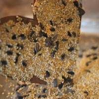 sanat etkınlığı ,boyama çalişması ,artık materyal (648)