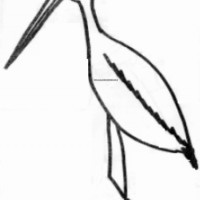 sanat etkınlığı ,boyama çalişması ,artık materyal (655)