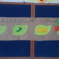 sanat etkınlıgı,artık materyal, (420)