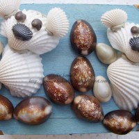 sanat etkınlıklerı (144)