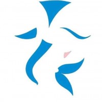 sanat etkınlıklerı (203)