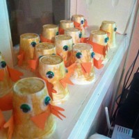 sanat etkınlıklerı (294)