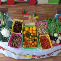 sanat etkınlıklerı (357)