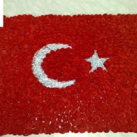 sanat etkınlıklerı (484)