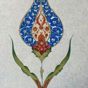 tezhip (6)