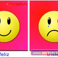 değerler eğitimi (10)