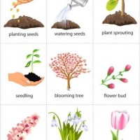 değerler eğitimi (126)