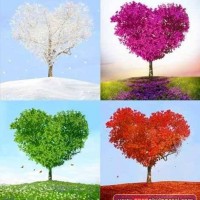 değerler eğitimi (168)