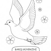 değerler eğitimi (226)