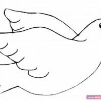 değerler eğitimi (229)