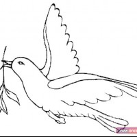 değerler eğitimi (231)