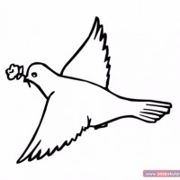 değerler eğitimi (232)