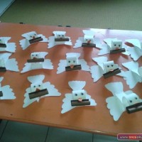 değerler eğitimi (245)