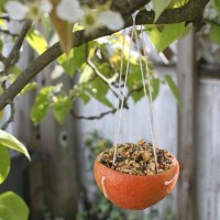 değerler eğitimi (262)