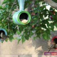 değerler eğitimi (264)