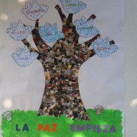 değerler eğitimi (274)