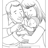 değerler eğitimi (310)