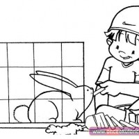 değerler eğitimi (395).JPG