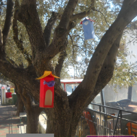 değerler eğitimi (3).PNG