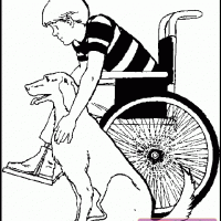 değerler eğitimi (40)