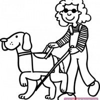 değerler eğitimi (432)